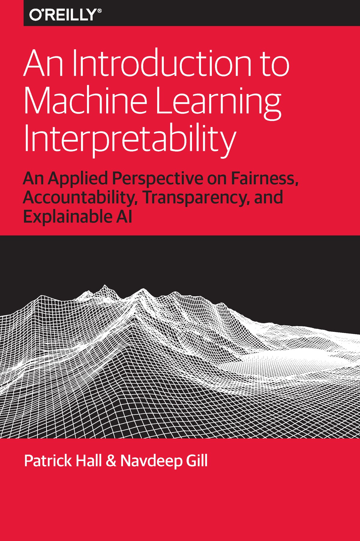 An Introduction to Machine Learning Interpretability