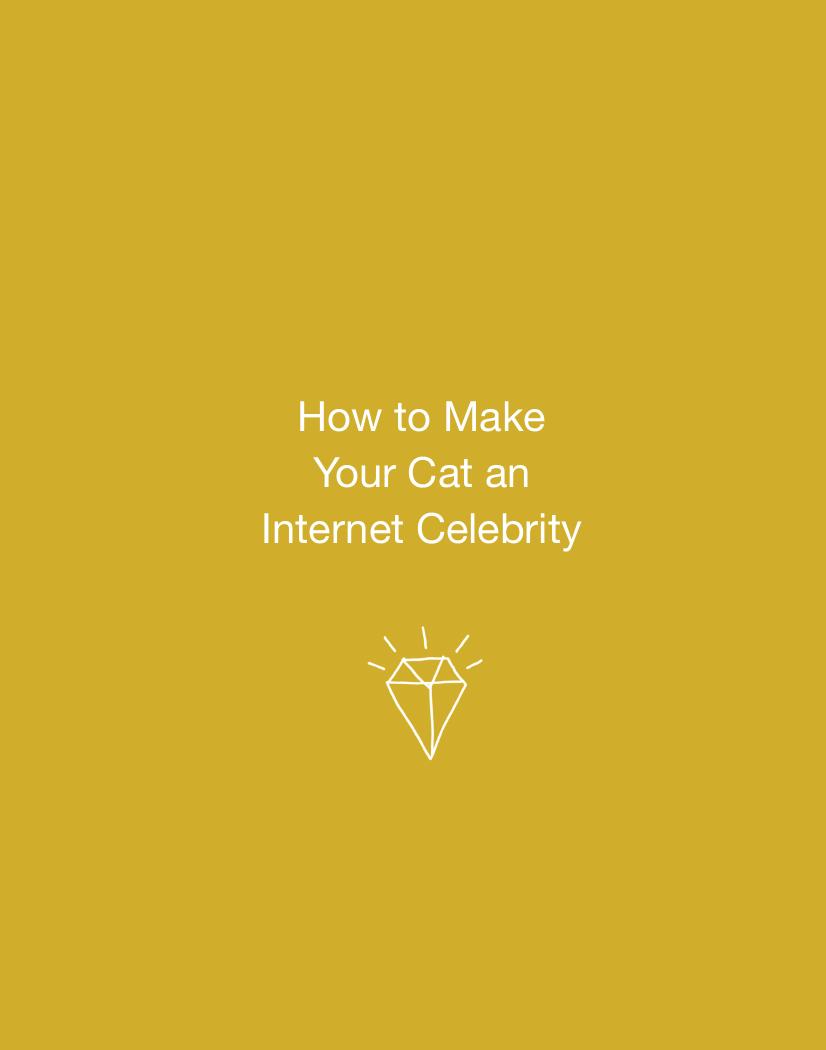 howtomakeyourcataninternetcelebrity